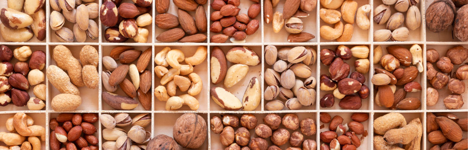 5 Factors to Consider When Choosing a Nuts Roasting Machine