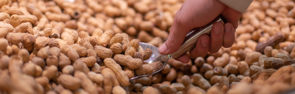 our innovative approach in the industry technology and design